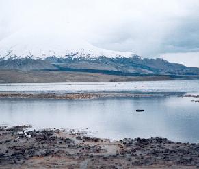 Flamingo preserve on Lake Chungar� (elevation 15,060 ft./4,518 mt.the highest lake in the world) near the Parinacota volcano, Lauca National Park, northeastern tip of Chile