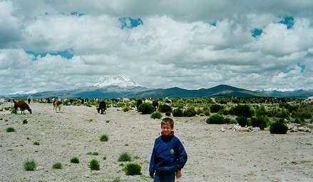 Daniel standing in front of some alpacas in Peru near the Chilean border (Feb. 2000)